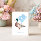 Mallard Thank You Card – Illustrated Watercolor Duck Mallard